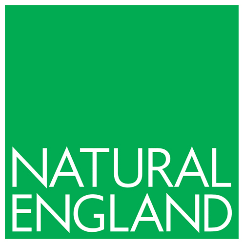 logos/14_307natural-england-logo-vector